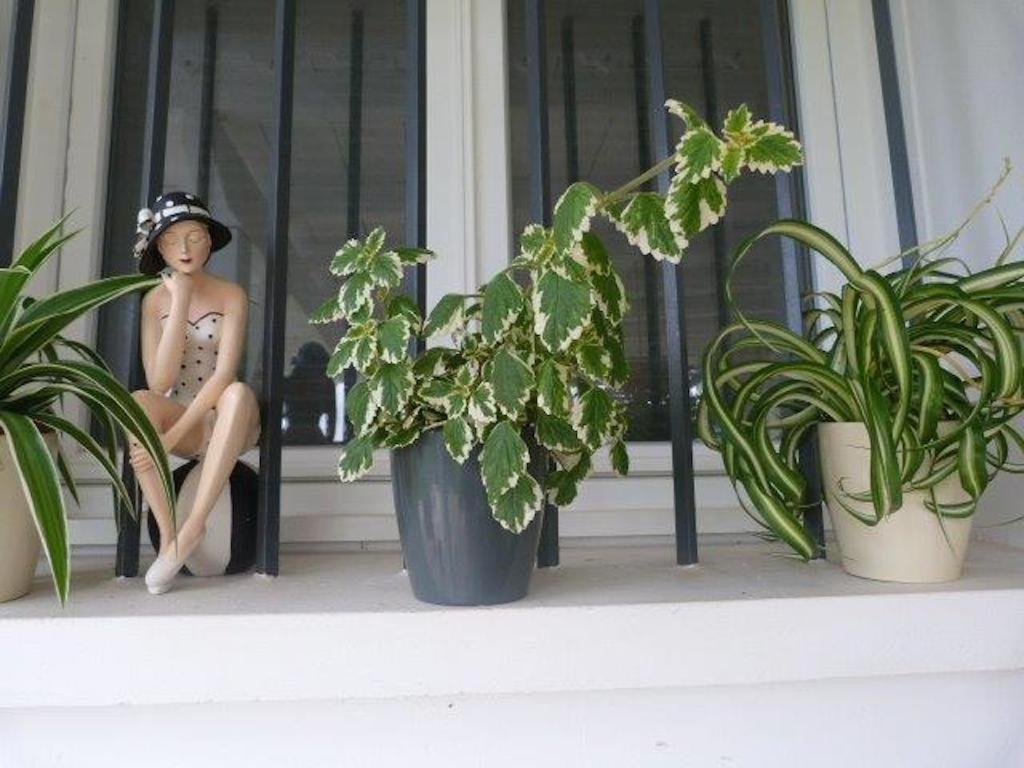 Bed & Breakfast Maison Hamak *